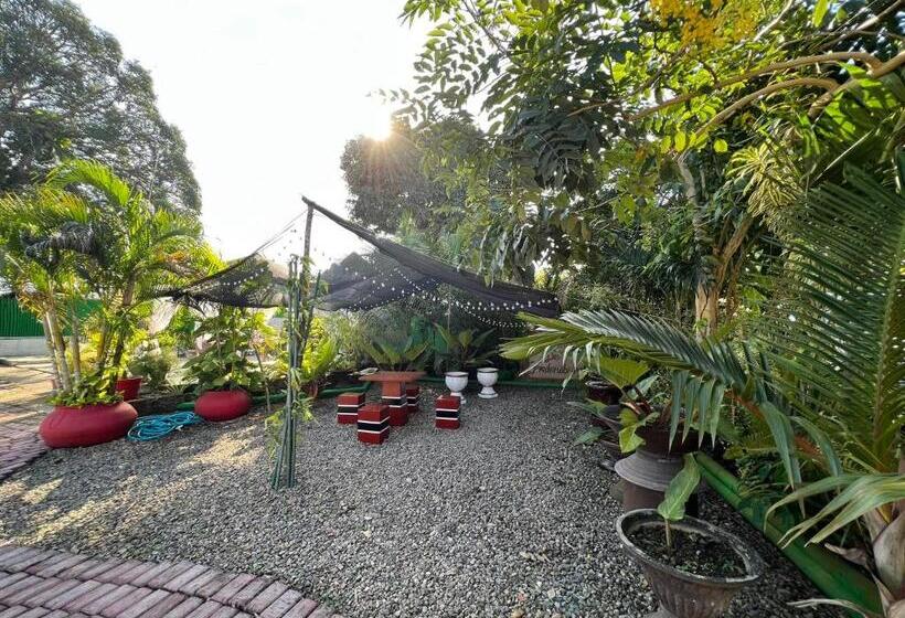 旅馆 Ice Bear Bar & Tourist Inn