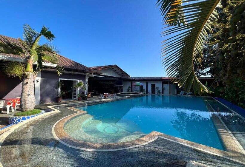 旅馆 Ice Bear Bar & Tourist Inn