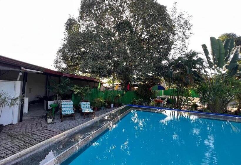 旅馆 Ice Bear Bar & Tourist Inn