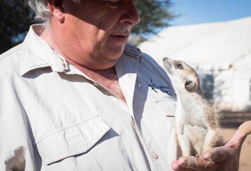 هتل Koedoeberg Guest Farm