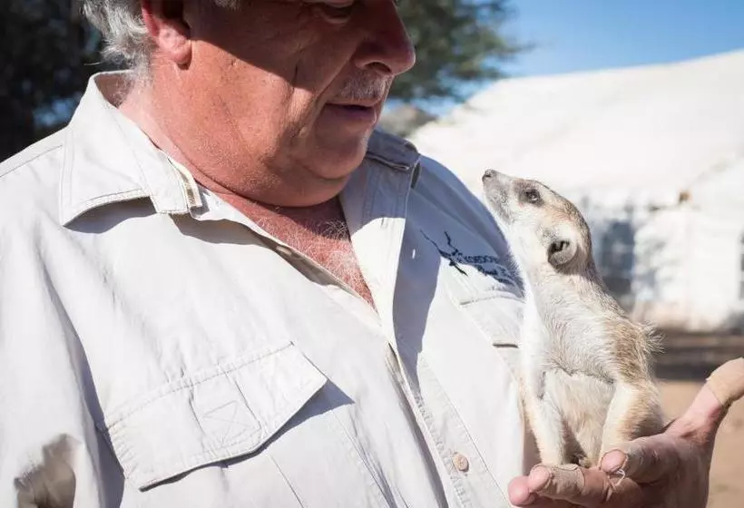 هتل Koedoeberg Guest Farm