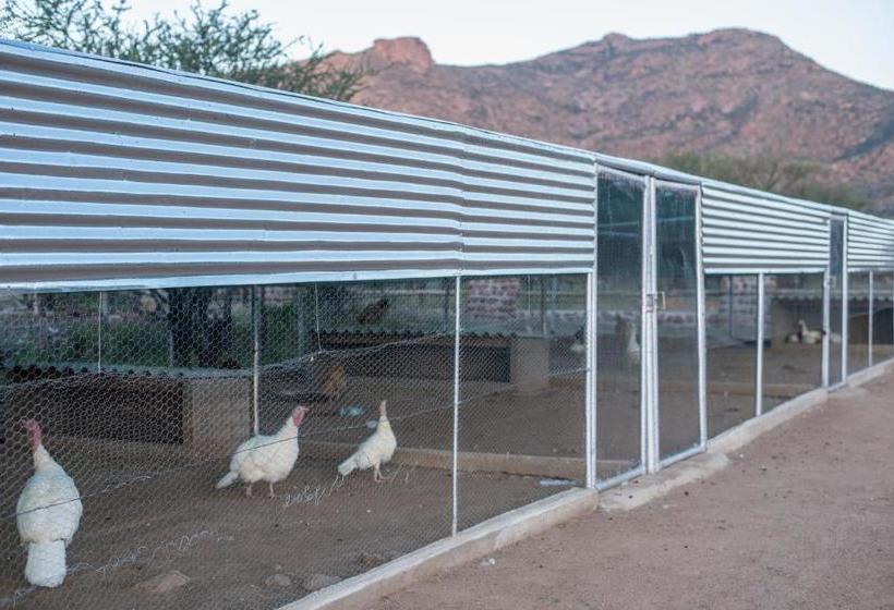 هتل Koedoeberg Guest Farm