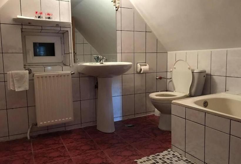 פנסיון Vila Veverita