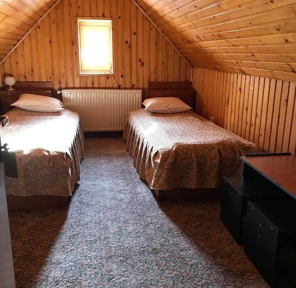 פנסיון Vila Veverita