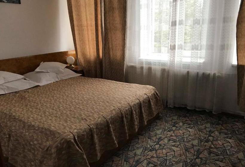 פנסיון Vila Veverita