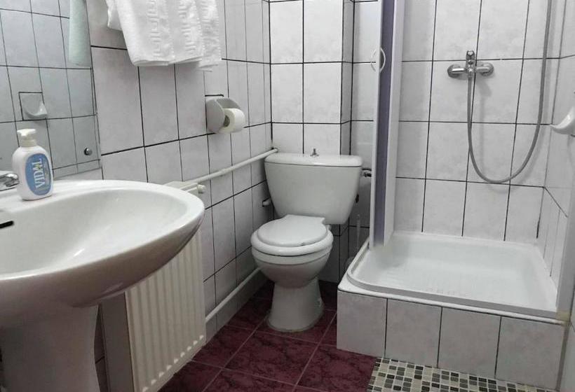 פנסיון Vila Veverita