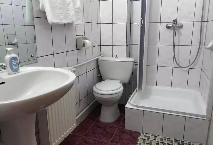 ペンション Vila Veverita