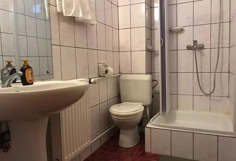 ペンション Vila Veverita