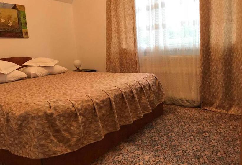 פנסיון Vila Veverita