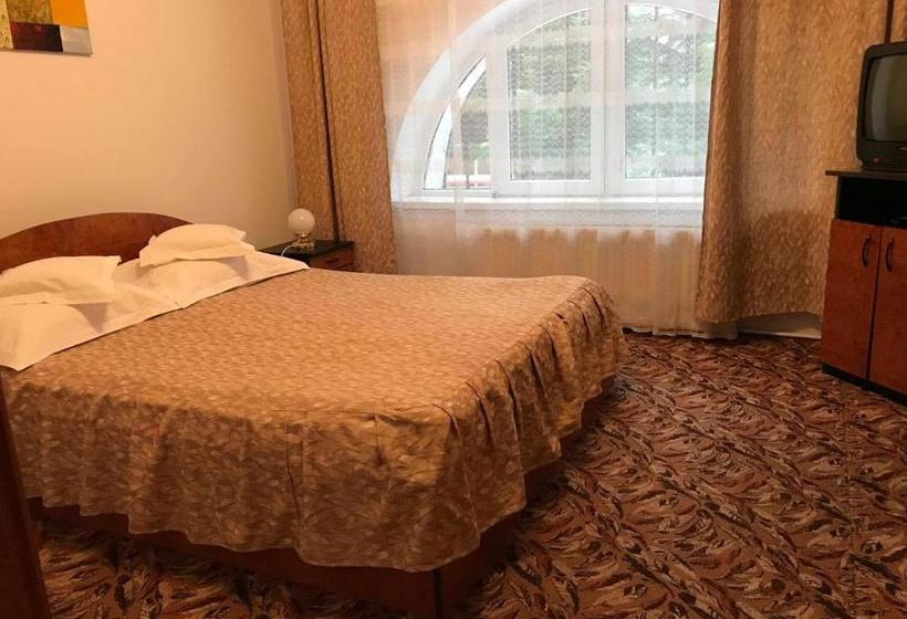 פנסיון Vila Veverita