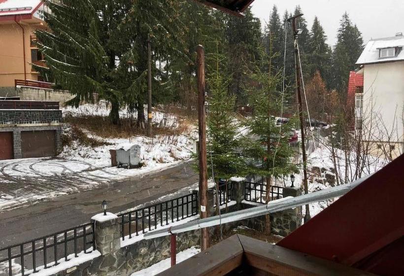 פנסיון Vila Veverita