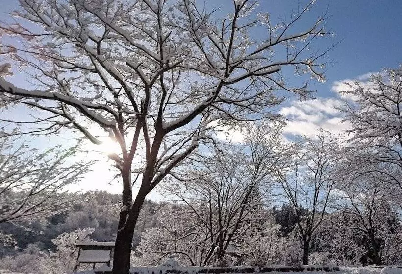 پانسیون Chezsoi Wakamiya