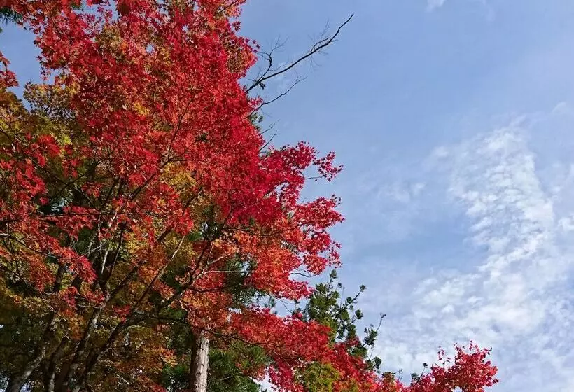 پانسیون Chezsoi Wakamiya