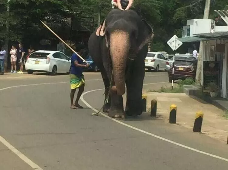 پانسیون Lucky Prince Villa