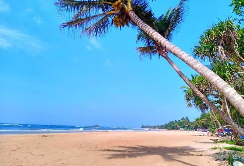 پانسیون Lucky Prince Villa