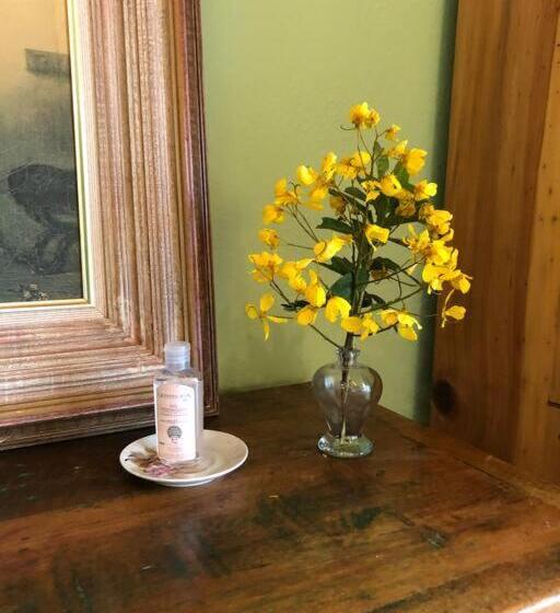 Пансион Pousada Vidinha Bela