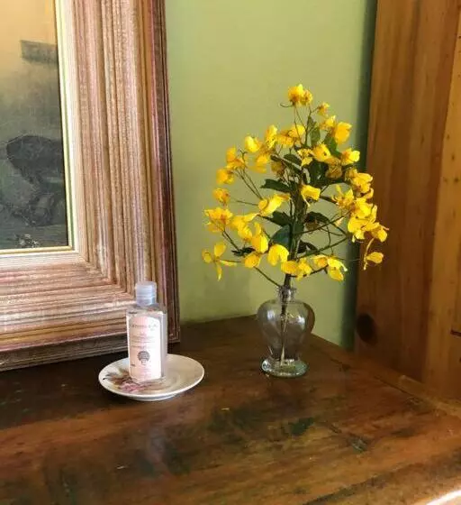 ペンション Pousada Vidinha Bela