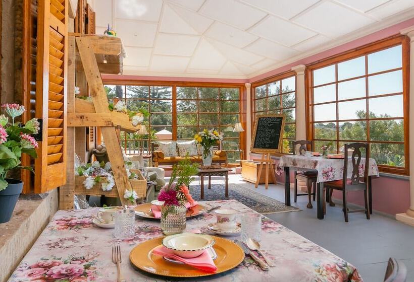 膳宿费 Betty S Boutique