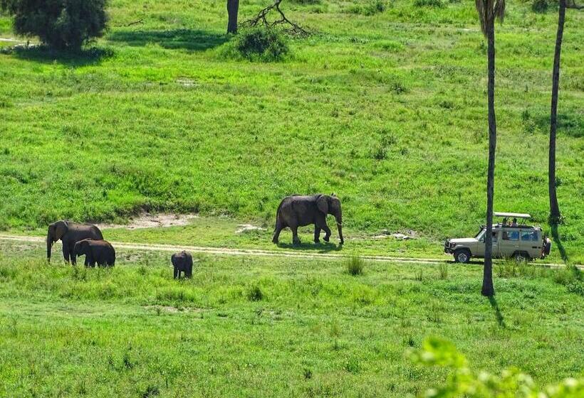 펜션 Mazzola Safari House & Backpacking