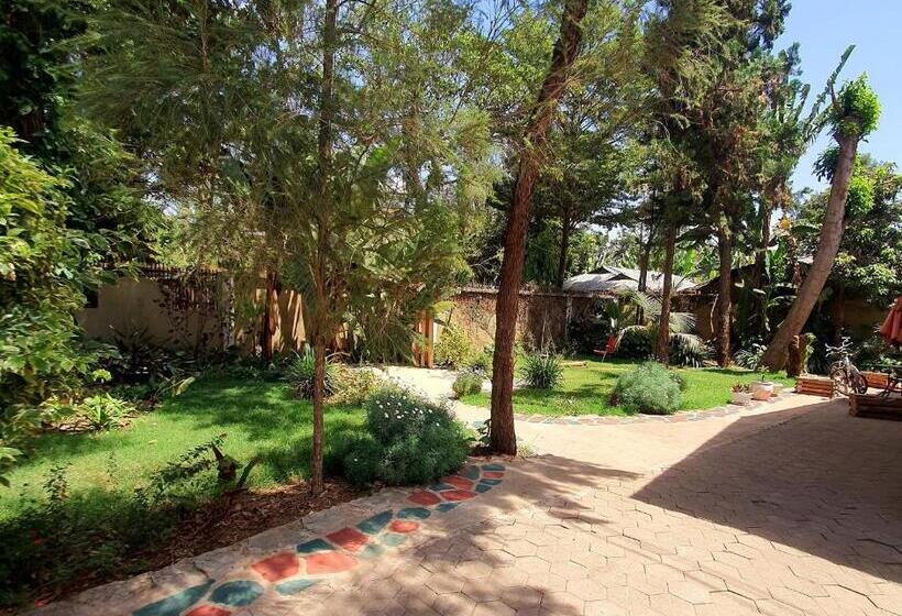 펜션 Mazzola Safari House & Backpacking