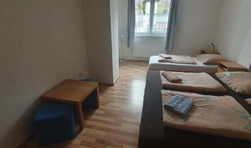 פנסיון Pod Vinicí