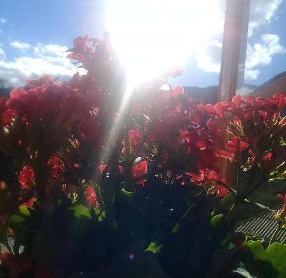 پانسیون Pousada Nascer Do Sol