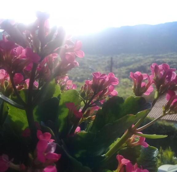 پانسیون Pousada Nascer Do Sol