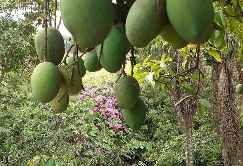 Пансион Estância Villa Ventura