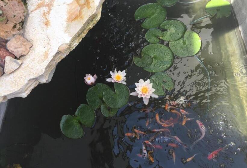 فندق Fehérház Alkalmi Szálló