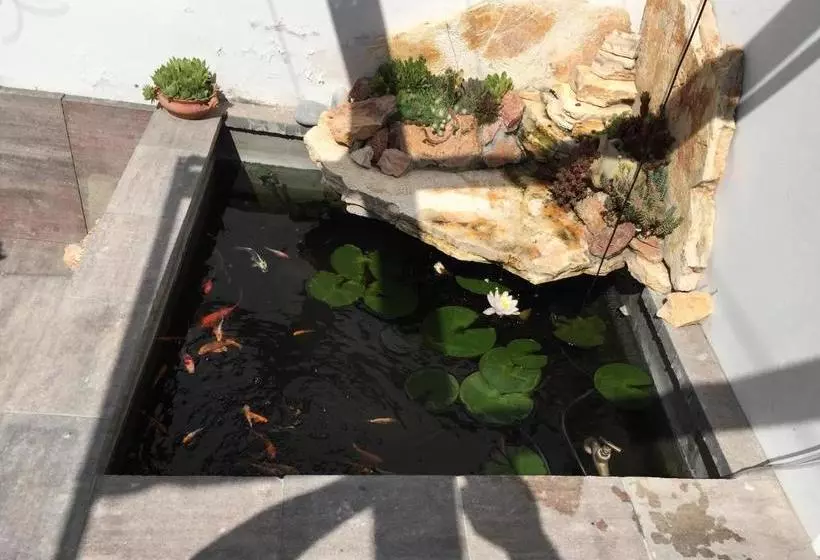 Hotelli Fehérház Alkalmi Szálló