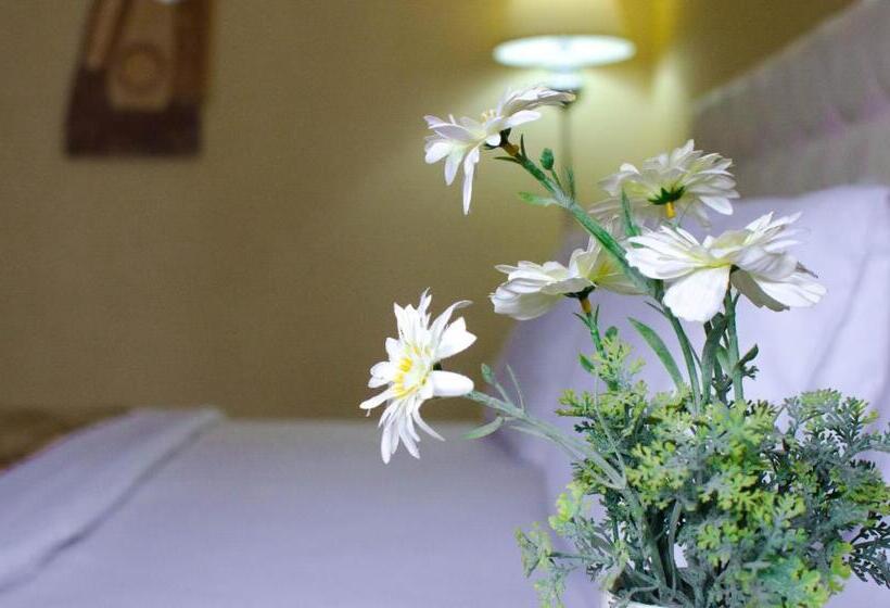 پانسیون Luxury House