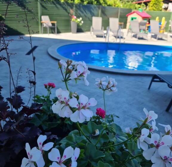 پانسیون Medziotoju Kiemelis