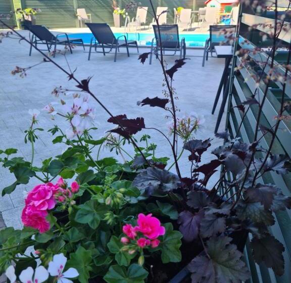 پانسیون Medziotoju Kiemelis