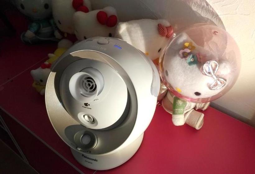 פנסיון Rainbow Guesthouse 貸切