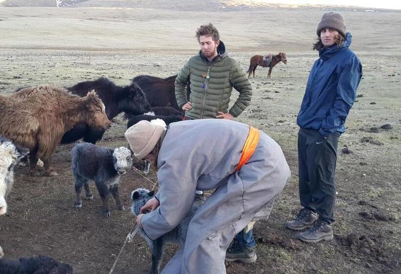 بنسيون Vast Mongolia Tour & Hostel