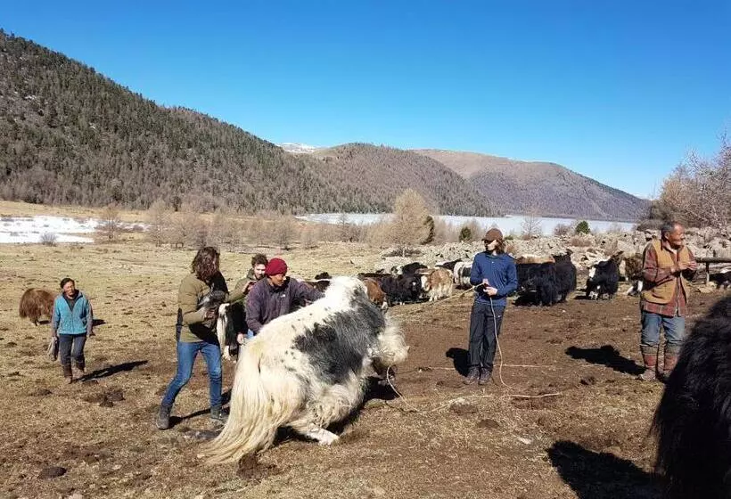 پانسیون Vast Mongolia Tour & Hostel