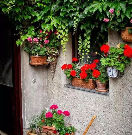 Retkeilymaja Gasthof Mandorfer