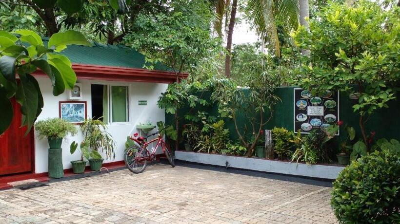 بنسيون The Green Village Dambulla
