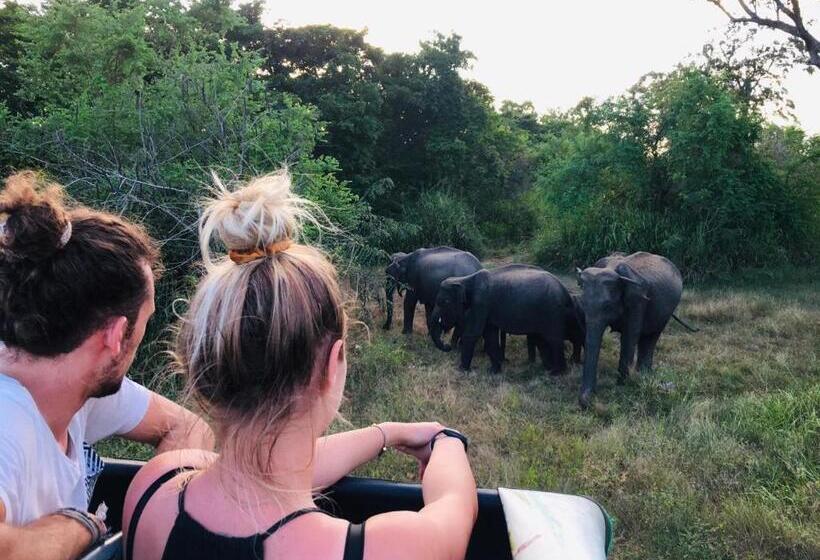 بنسيون The Green Village Dambulla