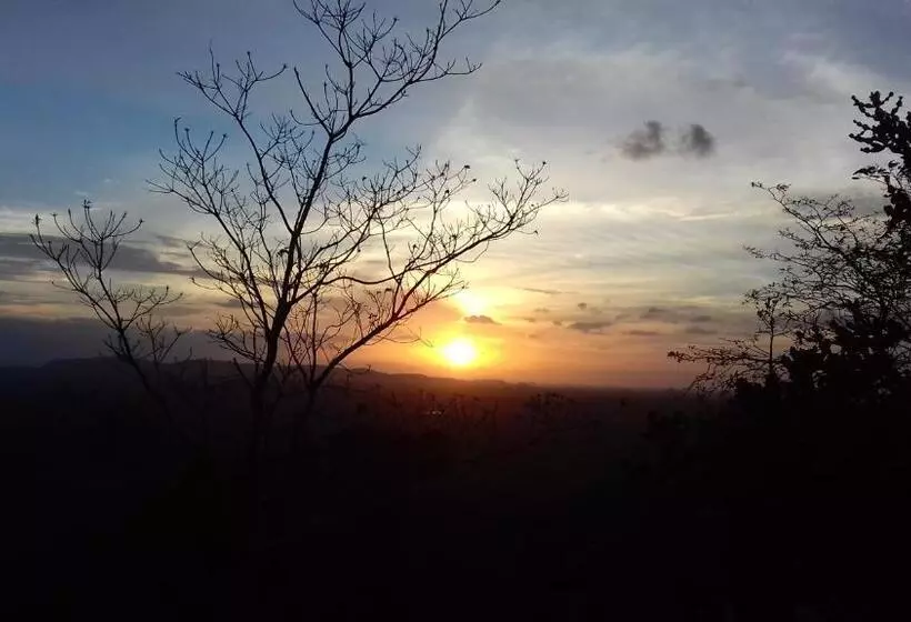 پانسیون The Green Village Dambulla