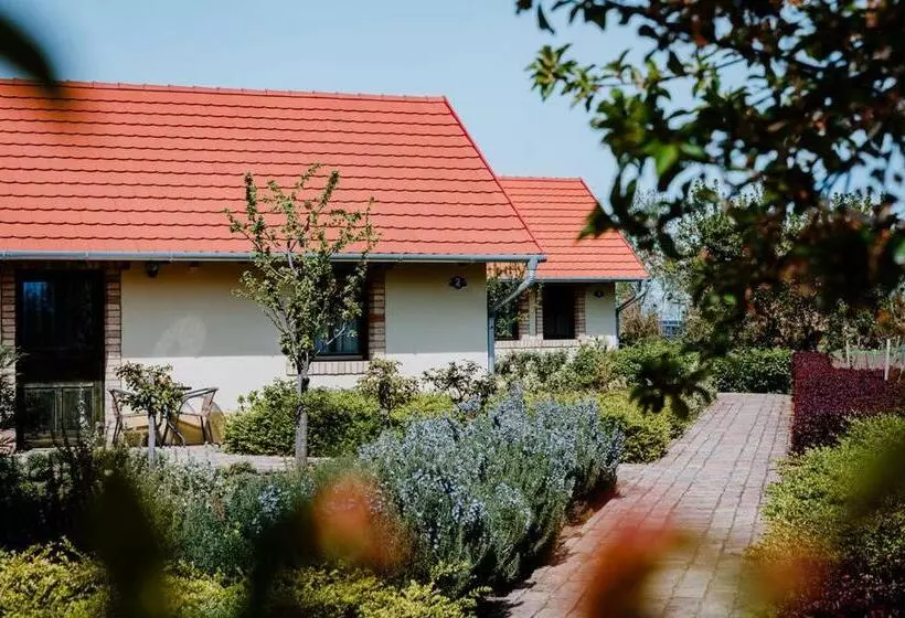 ホテル Béni Family Wine Farm