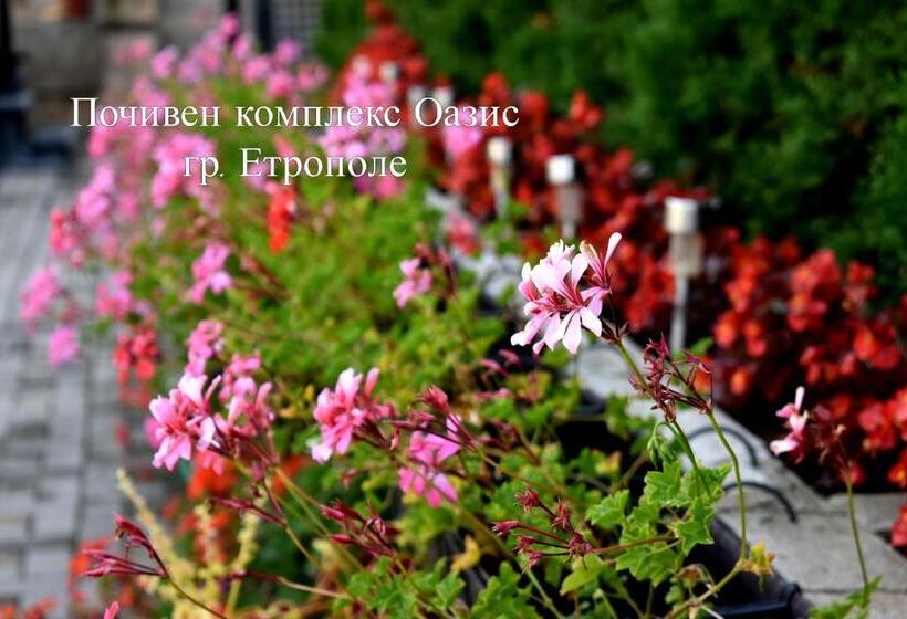 Pensão Complex Oazis