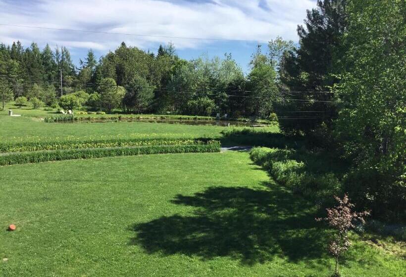 הוסטל Auberge Taylor Manor