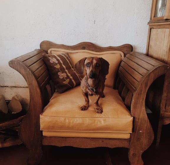 הוסטל Chakana Hospedaje Rural