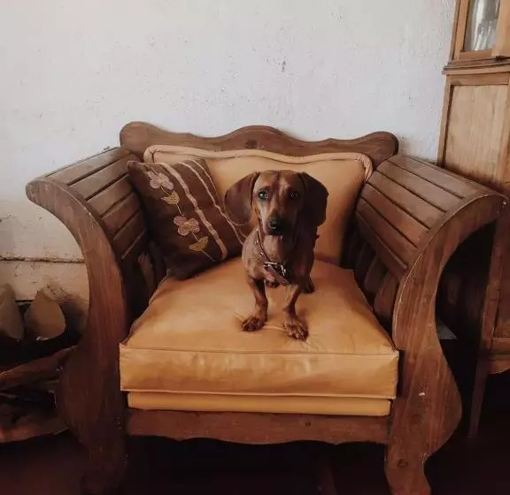 ユースホステル Chakana Hospedaje Rural