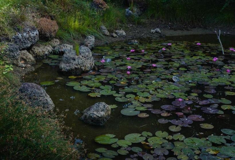 Bed & Breakfast Treasure Rock