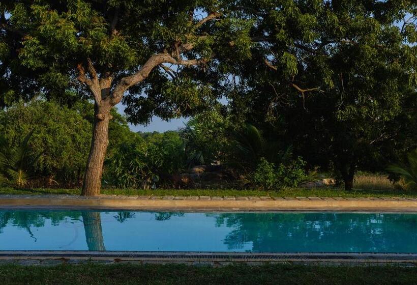 Bed & Breakfast Treasure Rock