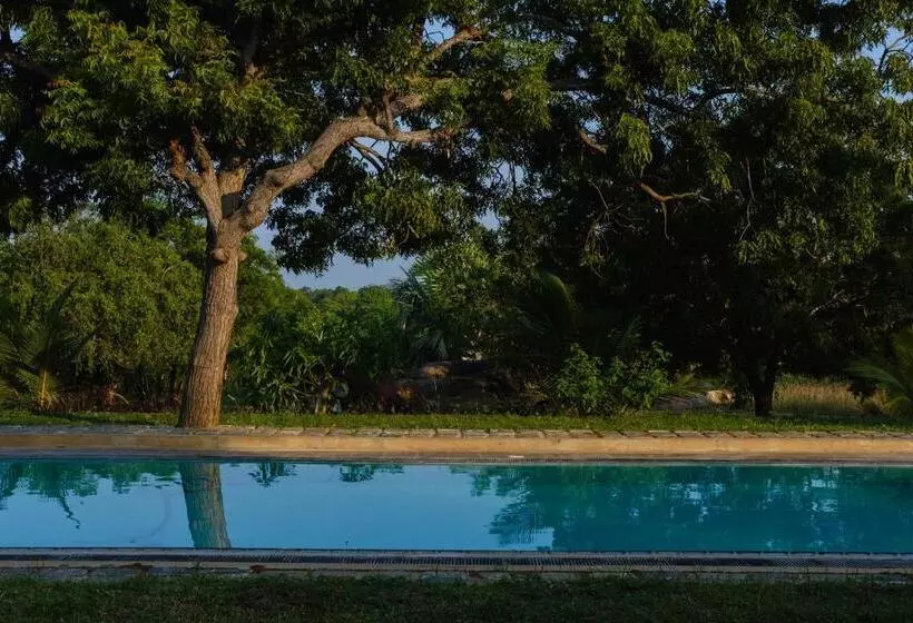 Aamiaismajoitus (B&B) Treasure Rock