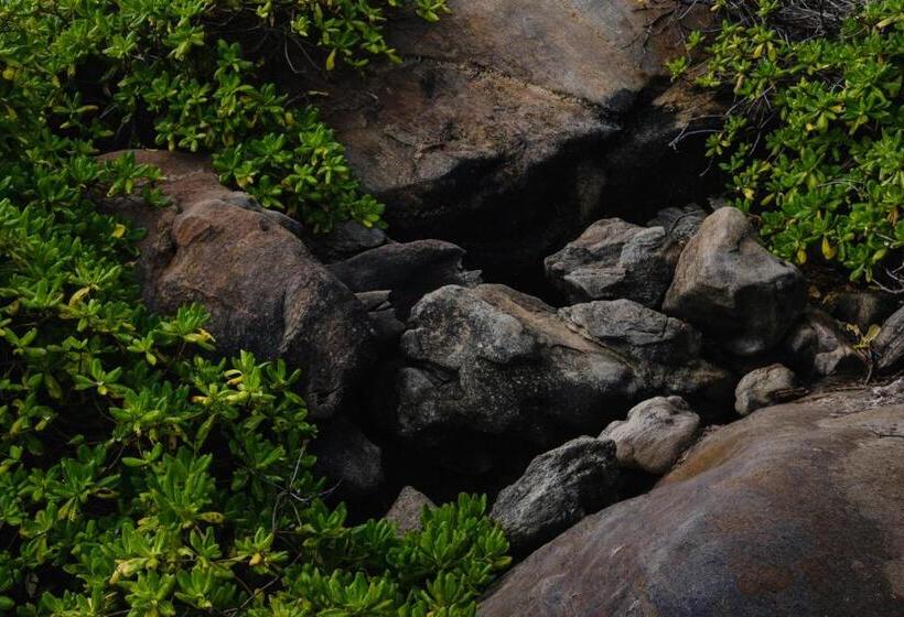 Bed & Breakfast Treasure Rock