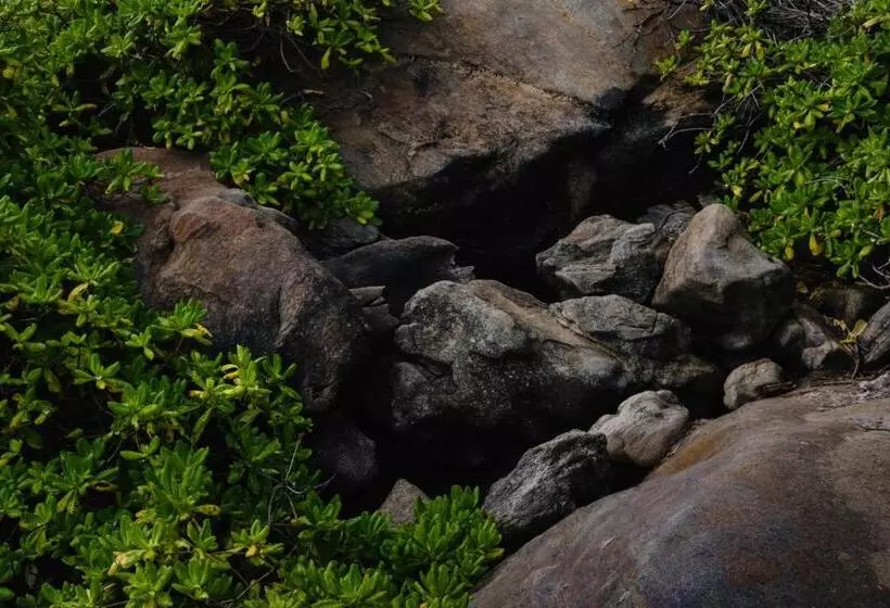 Aamiaismajoitus (B&B) Treasure Rock